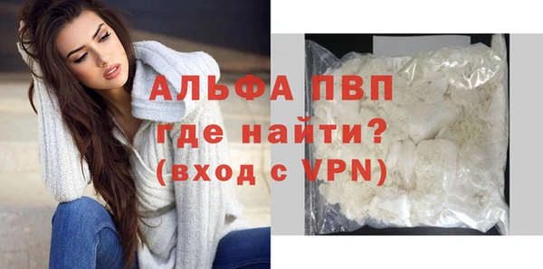 гашик Козловка