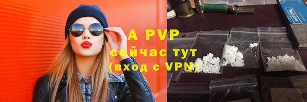 гашик Козловка