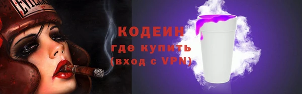 гашик Козловка
