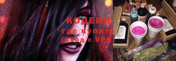 гашик Козловка