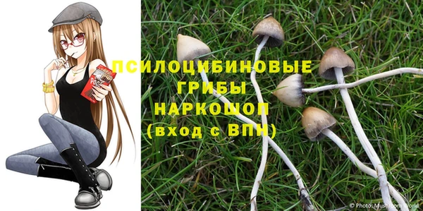 круглые Кодинск