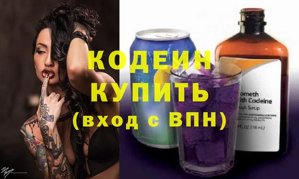 гашик Козловка