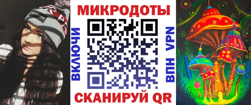 Галлюциногенные грибы Psilocybe  Купить закладки  Грязовец 